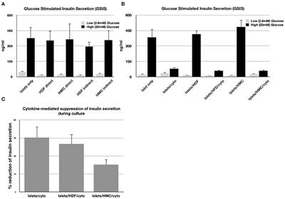 Human Hemangioblast-Derived Mesenchymal Stem Cells Promote Islet Engraftment in a Minimal Islet Mass Transplantation Model in Mice